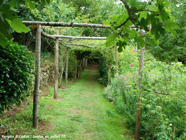 cadiot: les pergolas