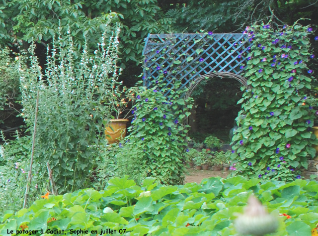 entre du potager  Cadiot