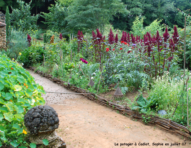 cadiot: le potager