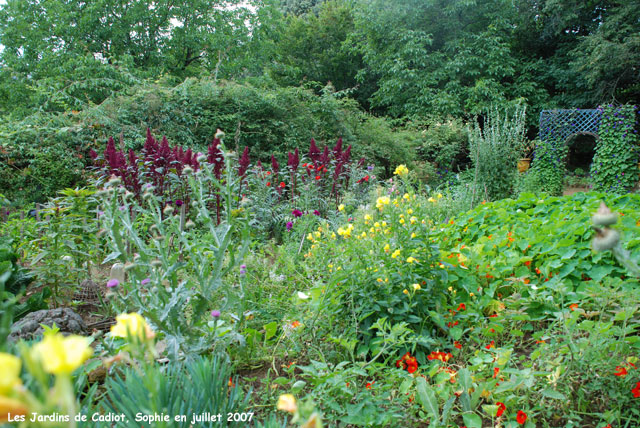 cadiot: le potager