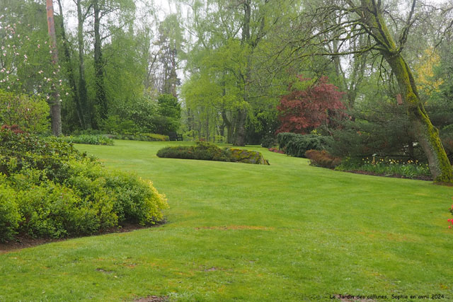 vue sur le jardin des Callunes