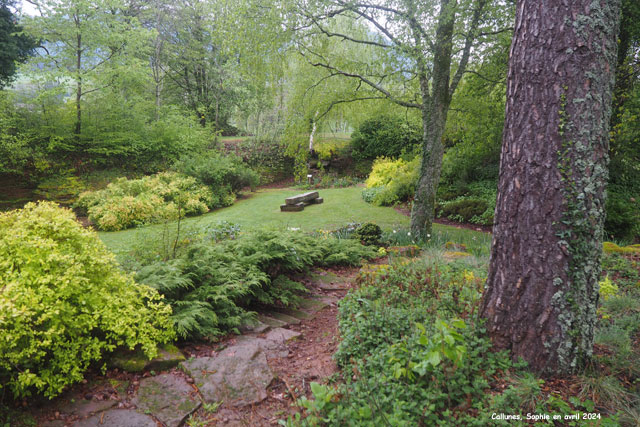 Les carrières au jardin des Callunes