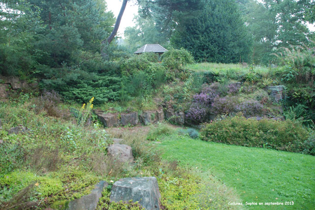Carrière au jardin des Callunes
