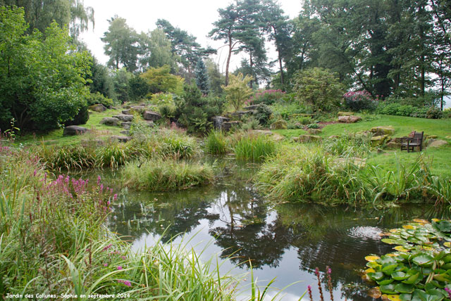 Le lac du jardin des Callunes