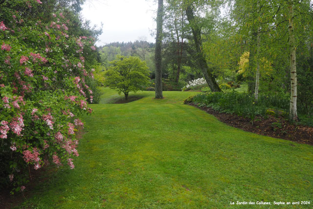 Le plateau du Jardin des Callunes