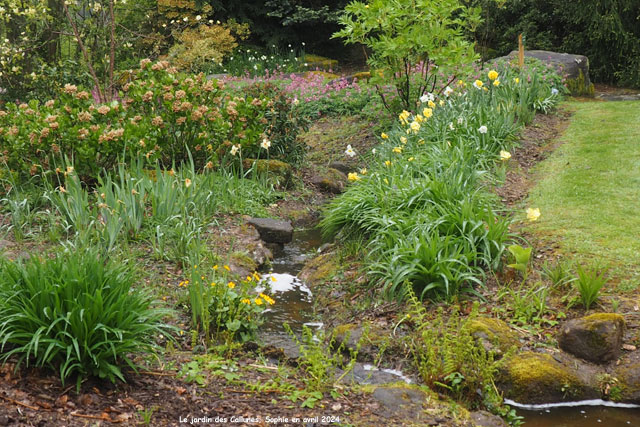 la rocaille du jardin des Callunes