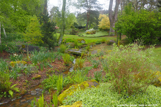 Le ruisseau au Jardin des Callunes