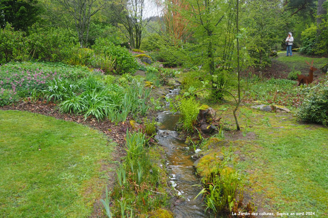Le ruisseau au Jardin des Callunes