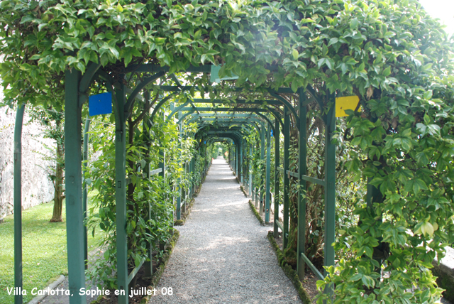 villa carlotta: pergola