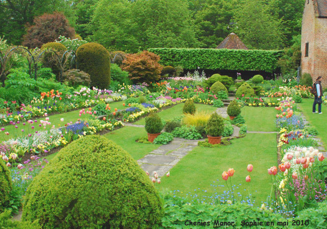 Chenies Manor: les tulipes