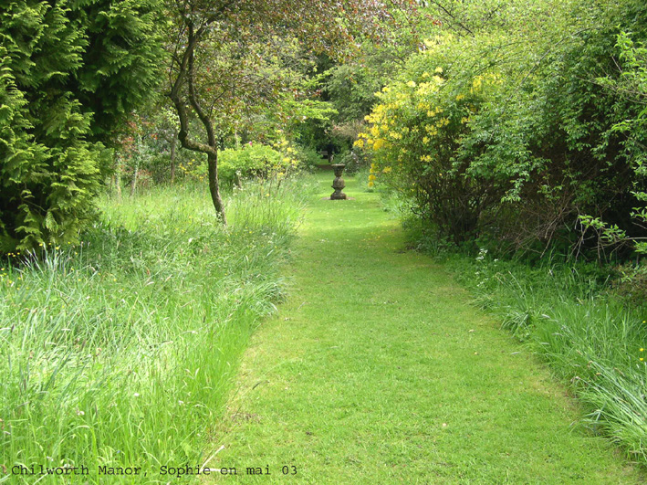 Le sous-bois de Chilworth Manor