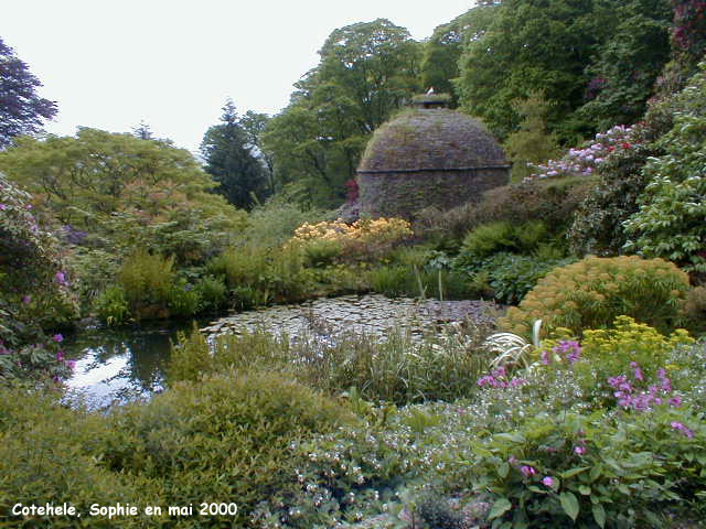 Cotehele: vallée