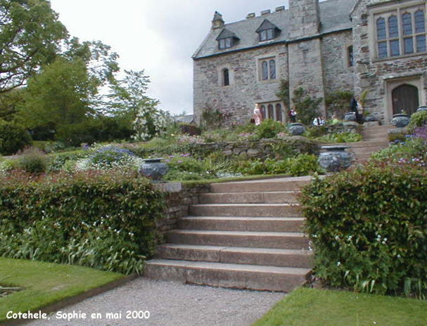 Cotehele: maison