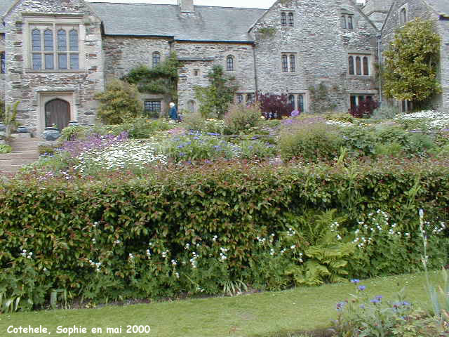 Cotehele: les massifs devant la maison