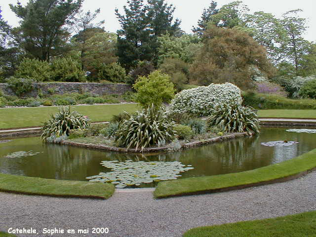 Cotehele: upper garden