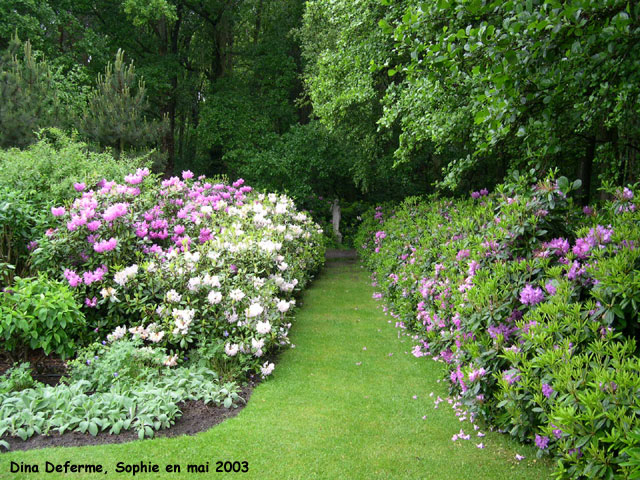 All�e de rhododendrons