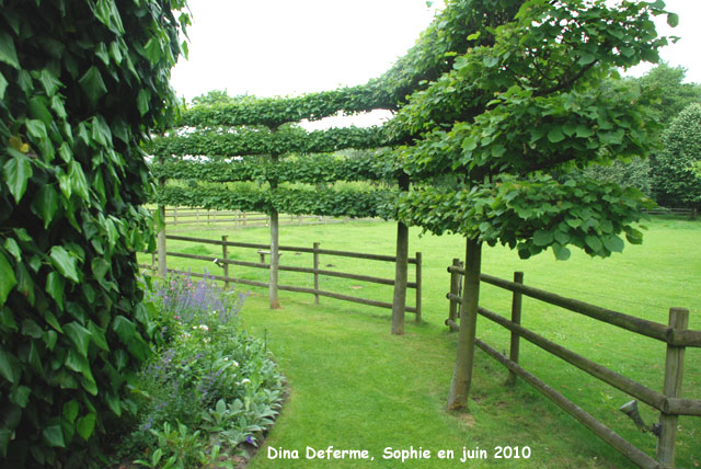 Deferme: chemin