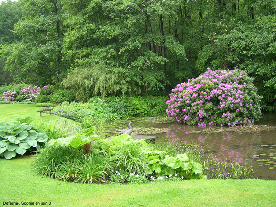 Deferme: grand bassin