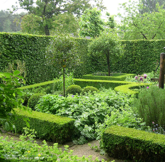 jardin d'aromatiques chez D. Deferme