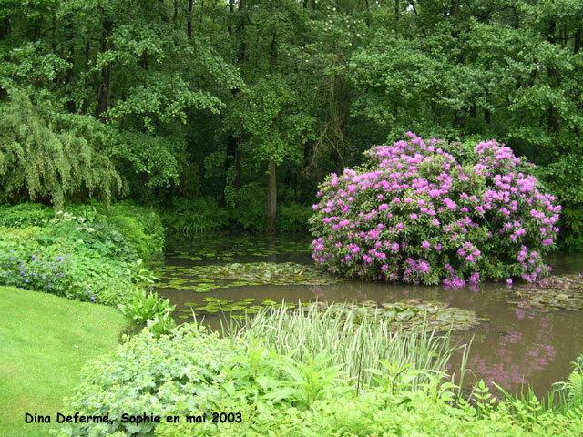 Le grand bassin chez Dina Deferme