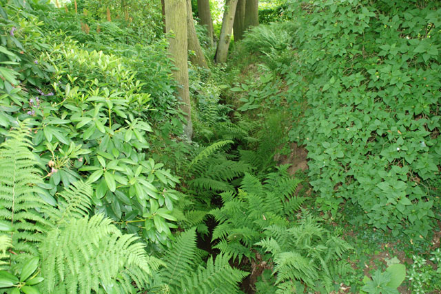 Deferme: ruisseau