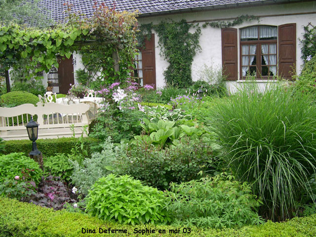 contrastes de feuillages