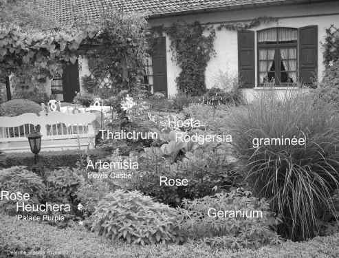 d&eacute;tail de plantation d'un massif chez D. Deferme