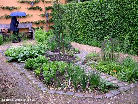 Le jardin des aromatiques