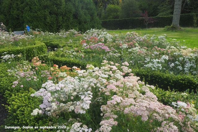 jardin circulaire à Dunvegan Castle