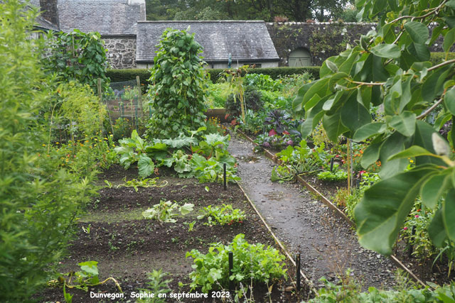 potager à Dunvegan Castle