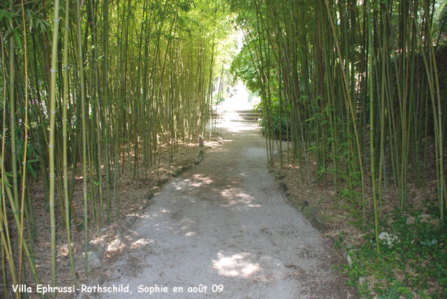 Villa Ephrussi-Rothschild: jardin japonais