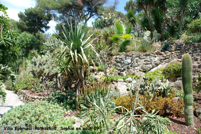 Villa Ephrussi-Rothschild: jardin mexicain