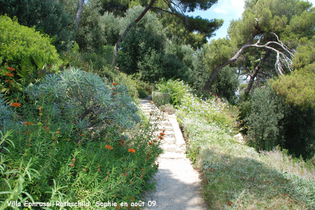 Villa Ephrussi-Rothschild: provençal