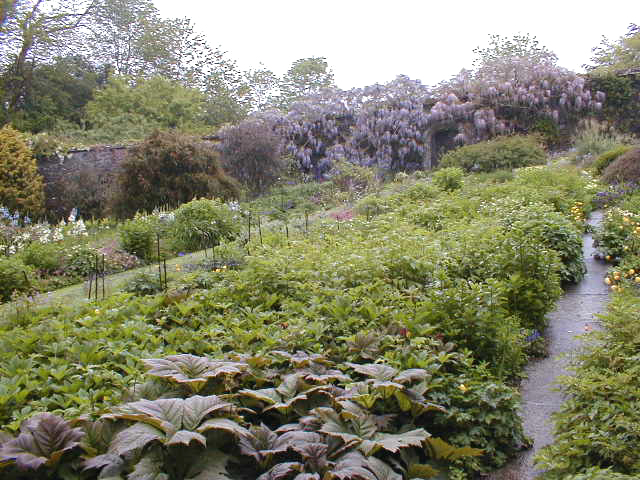 vue du jardin clos de Garden House
