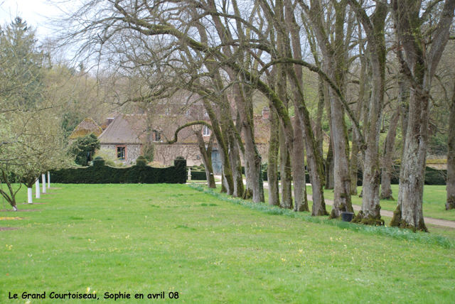 Grand Courtoiseau: allée de tilleuls