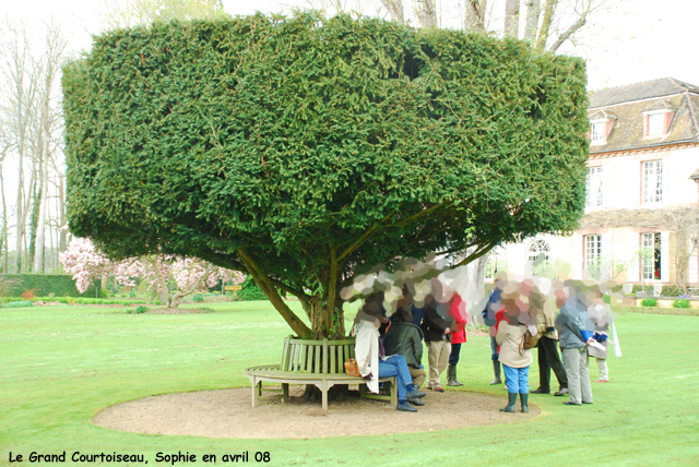 Grand Courtoiseau: le parc