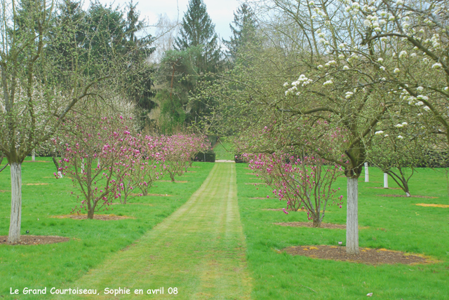 Grand Courtoiseau: verger