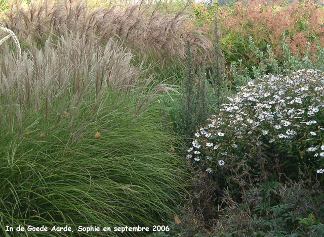 In Goede Aarde: jardin de devant