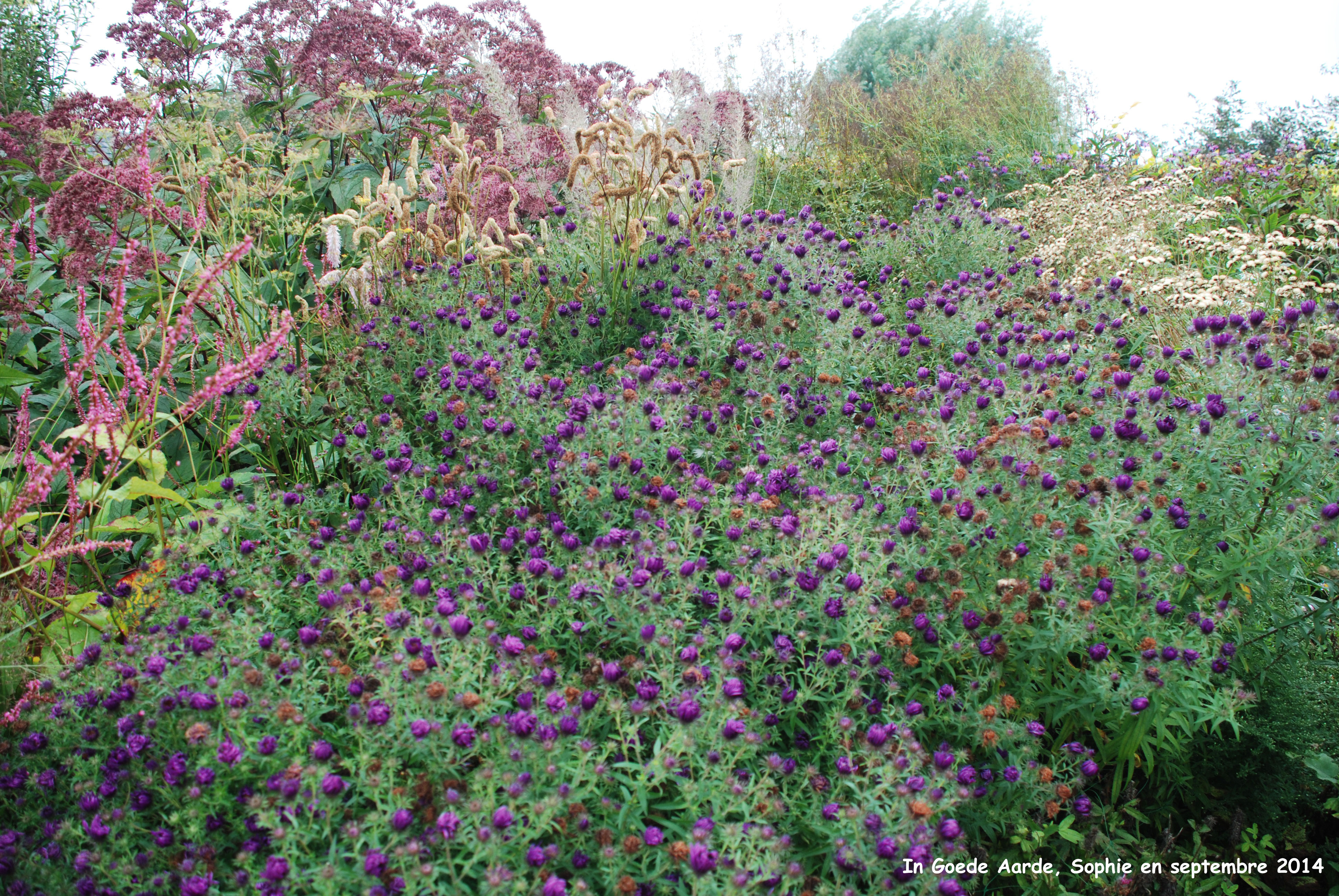 In Goede Aarde: jardin ouvert