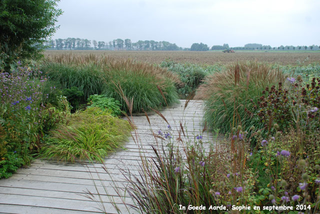 In Goede Aarde: prairie