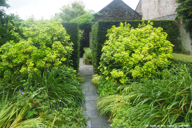  Jardin en Ville: passage dans la haie