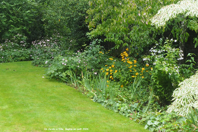 plantation dans le jardin sauvage