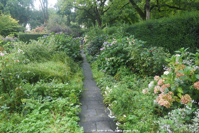 mixed border rose et blanc
