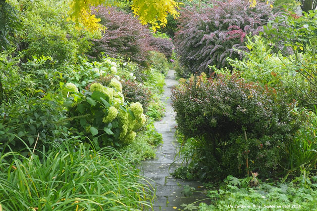 mixed border pourpre et blanc