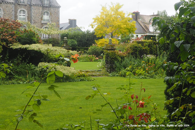 le jardin sauvage du Jardin en ville