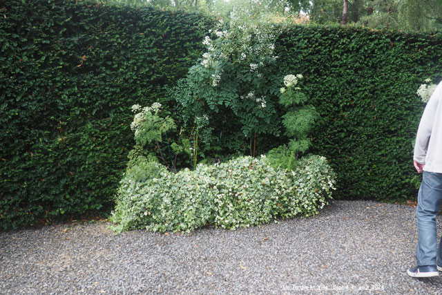Un jardin en ville: le parking