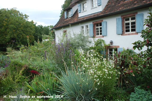 Herrenmühle: allée près de la maison