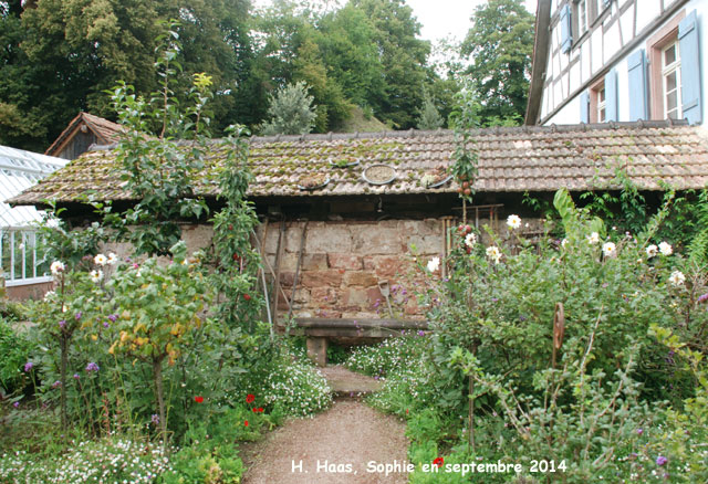 Herrenmühle: appenti