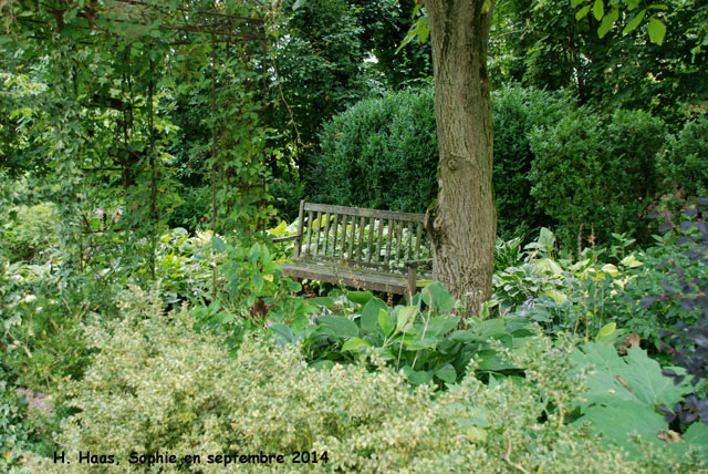 Herrenmühle: sous-bois