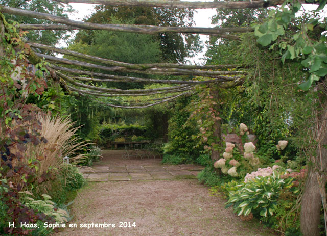 Herrenmühle: pergola